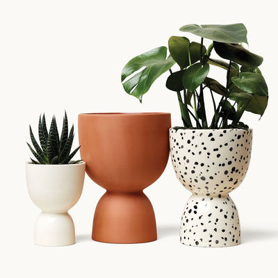 Pots & Planters