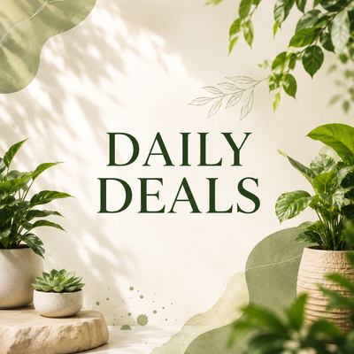Daily Deals