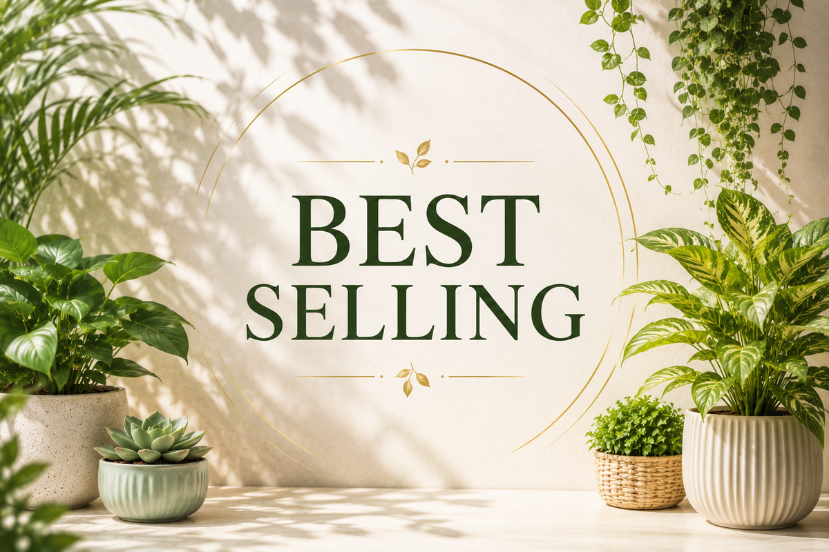 Best Selling