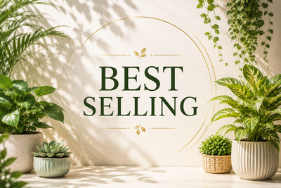 Best Selling