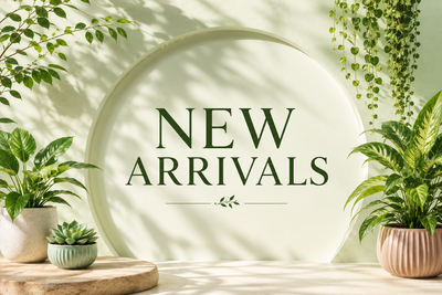 New Arrivals