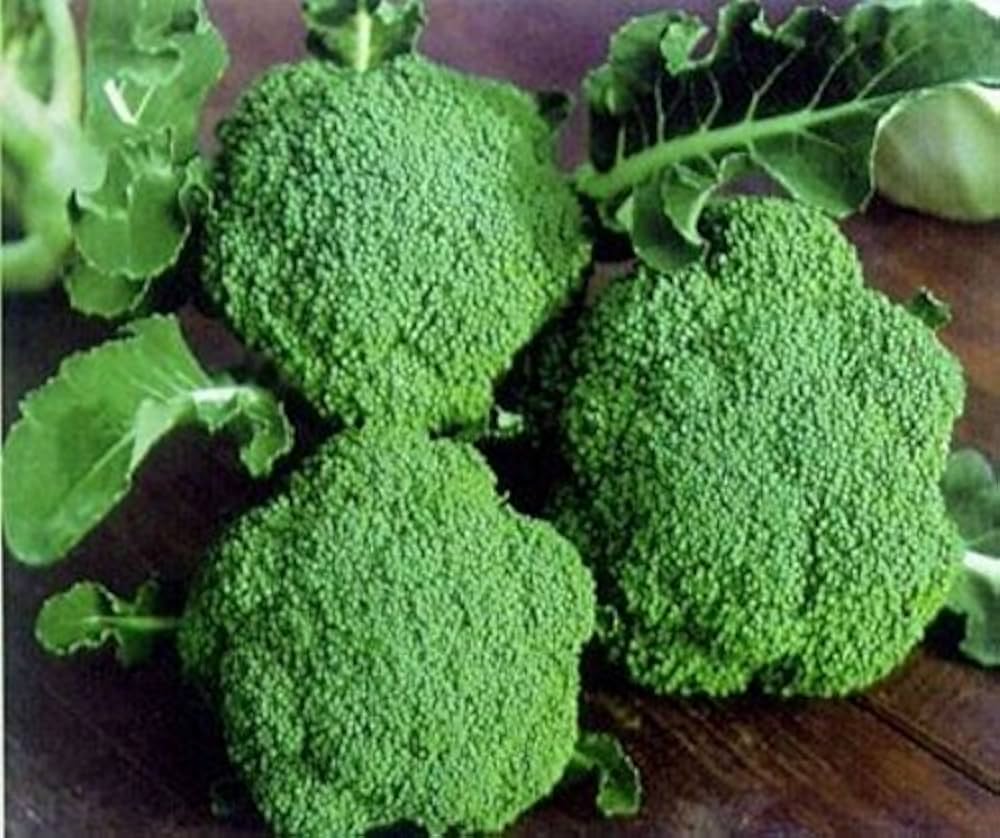 Broccoli (Hybrid Seeds)
