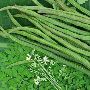 Drumstick (Hybrid Seeds)