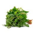 Green Amaranthus (Hybrid Seeds)
