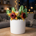 Huernia Zebrina (Bare Rooted)