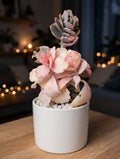 Kalanchoe Fedtschenkoi (Bare Rooted)