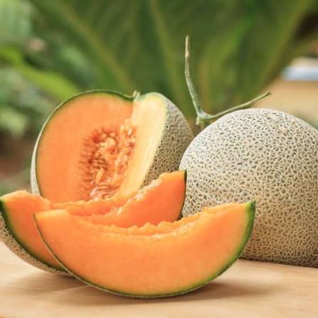 MUSK Melon (Hybrid Seeds)