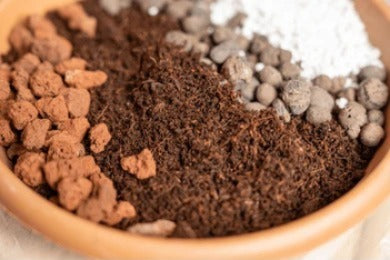 Potting Mix (Pack of 1 Kg)