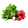 Radish Red (Hybrid Seeds)