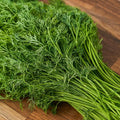 Soya Dill (Hybrid Seeds)