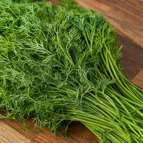 Soya Dill (Hybrid Seeds)