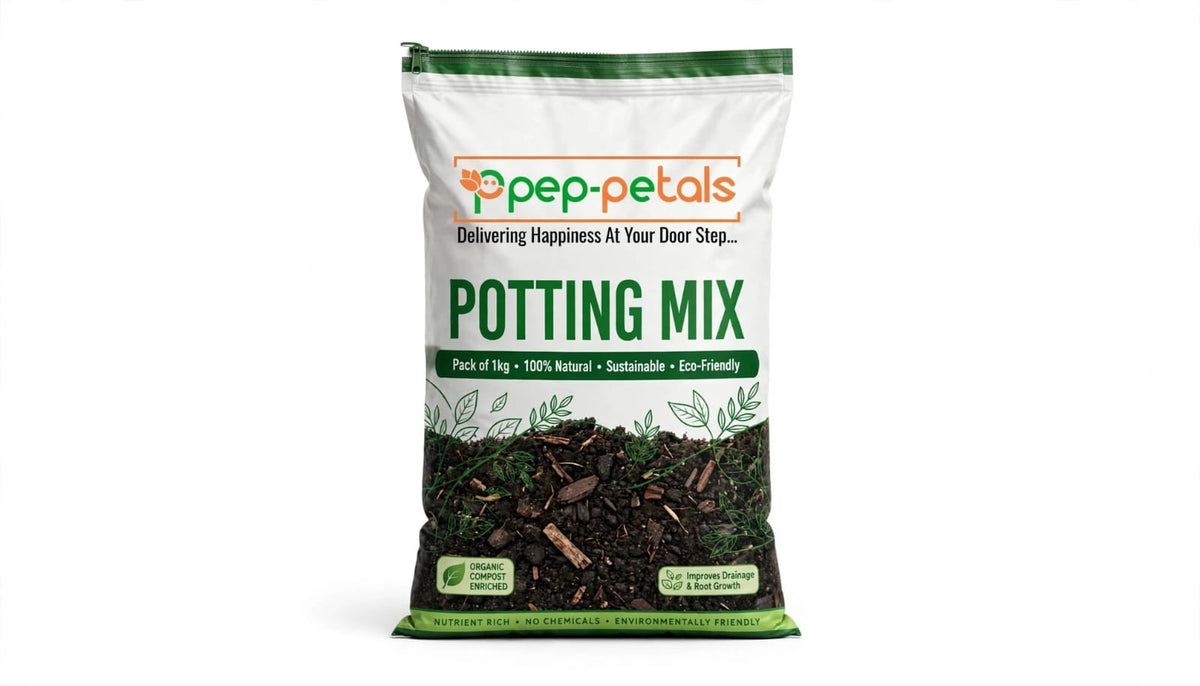 Succulent Potting Mix (Pack of 1 kg)