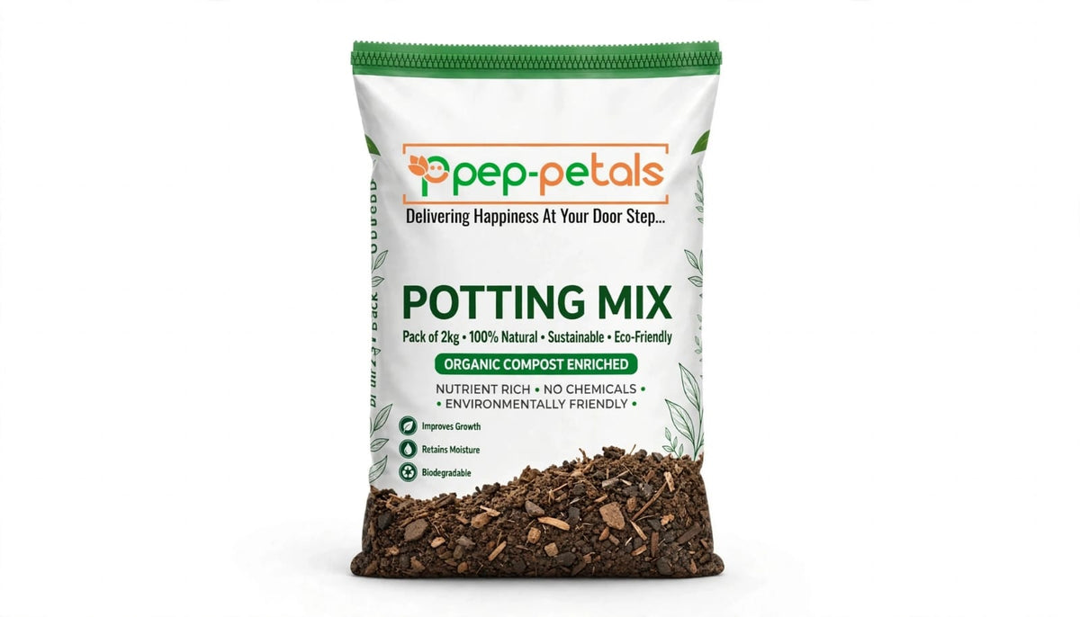 Succulent Potting Mix (Pack of 2 kg)