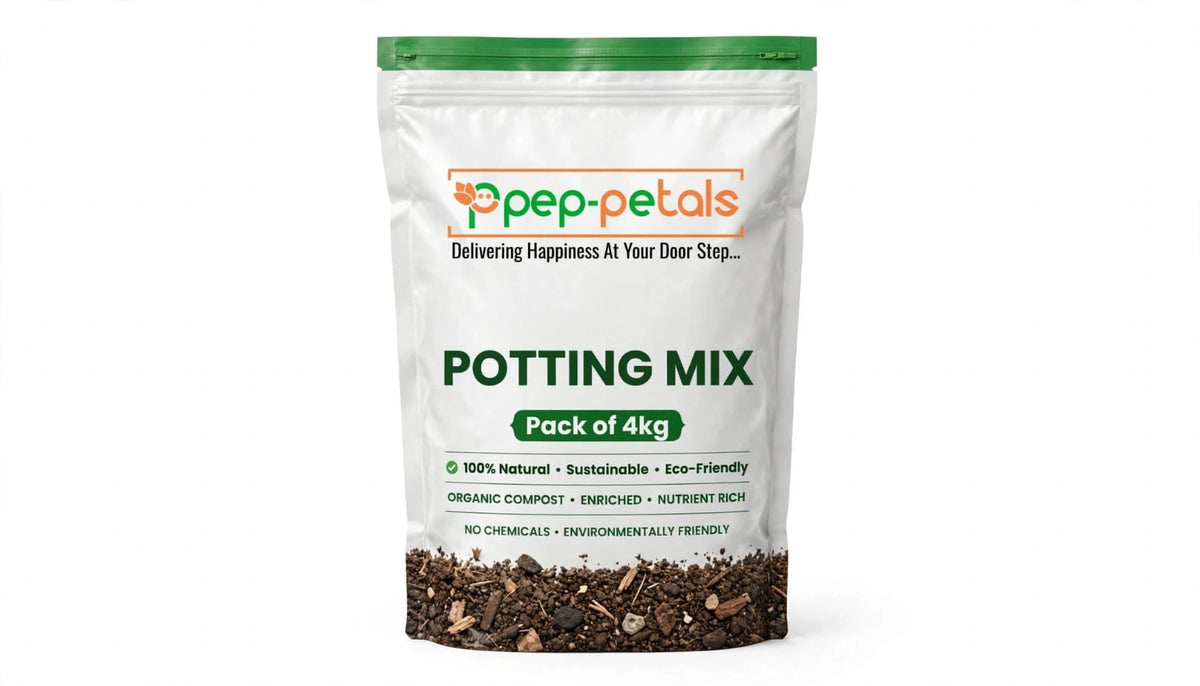 Succulent Potting Mix (Pack of 4 kg)