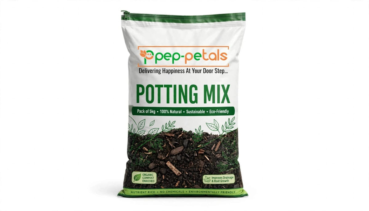 Succulent Potting Mix (Pack of 5 kg)