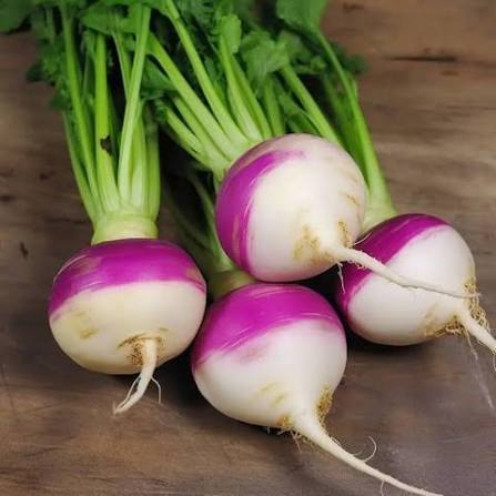 Turnips (Hybrid Seeds)