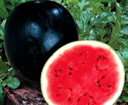 Watermelon (Hybrid Seeds)