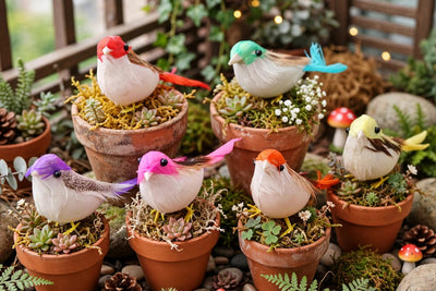 Plant Care