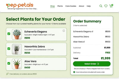 ORDER