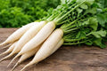 White Radish (Hybrid Seeds)