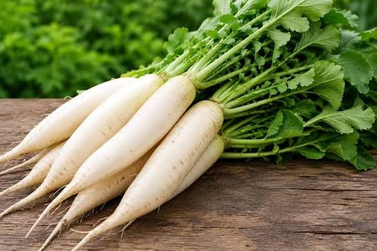 White Radish (Hybrid Seeds)